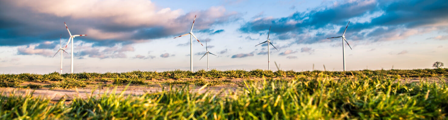 wind-turbine-monitoring-WIND-FARM-WITH-GRASS